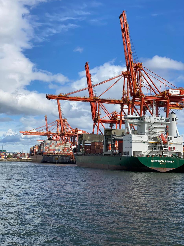 1689900941123338.png 图片76.png