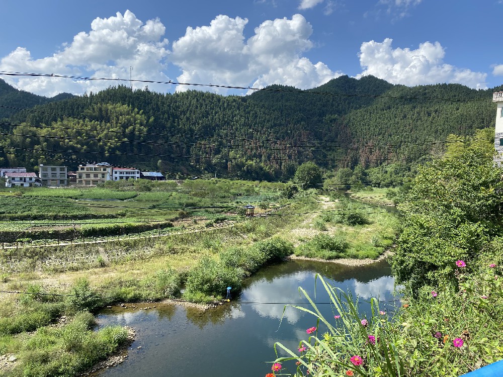 1695983684805218.jpg 68f3032981d3c93ab35a5b5e8081586.jpg